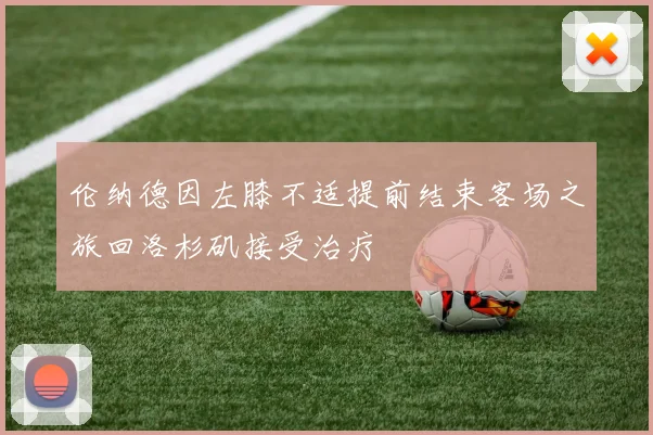 伦纳德因左膝不适提前结束客场之旅回洛杉矶接受治疗