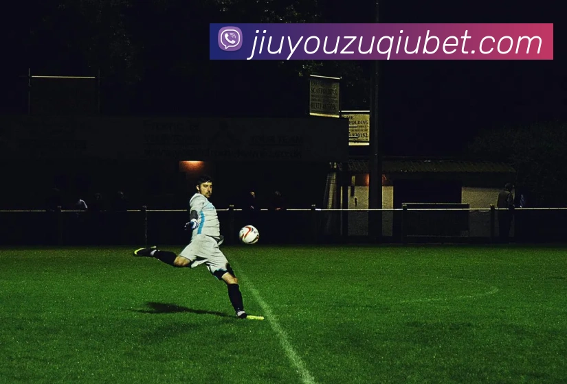 九游体育平台生态图